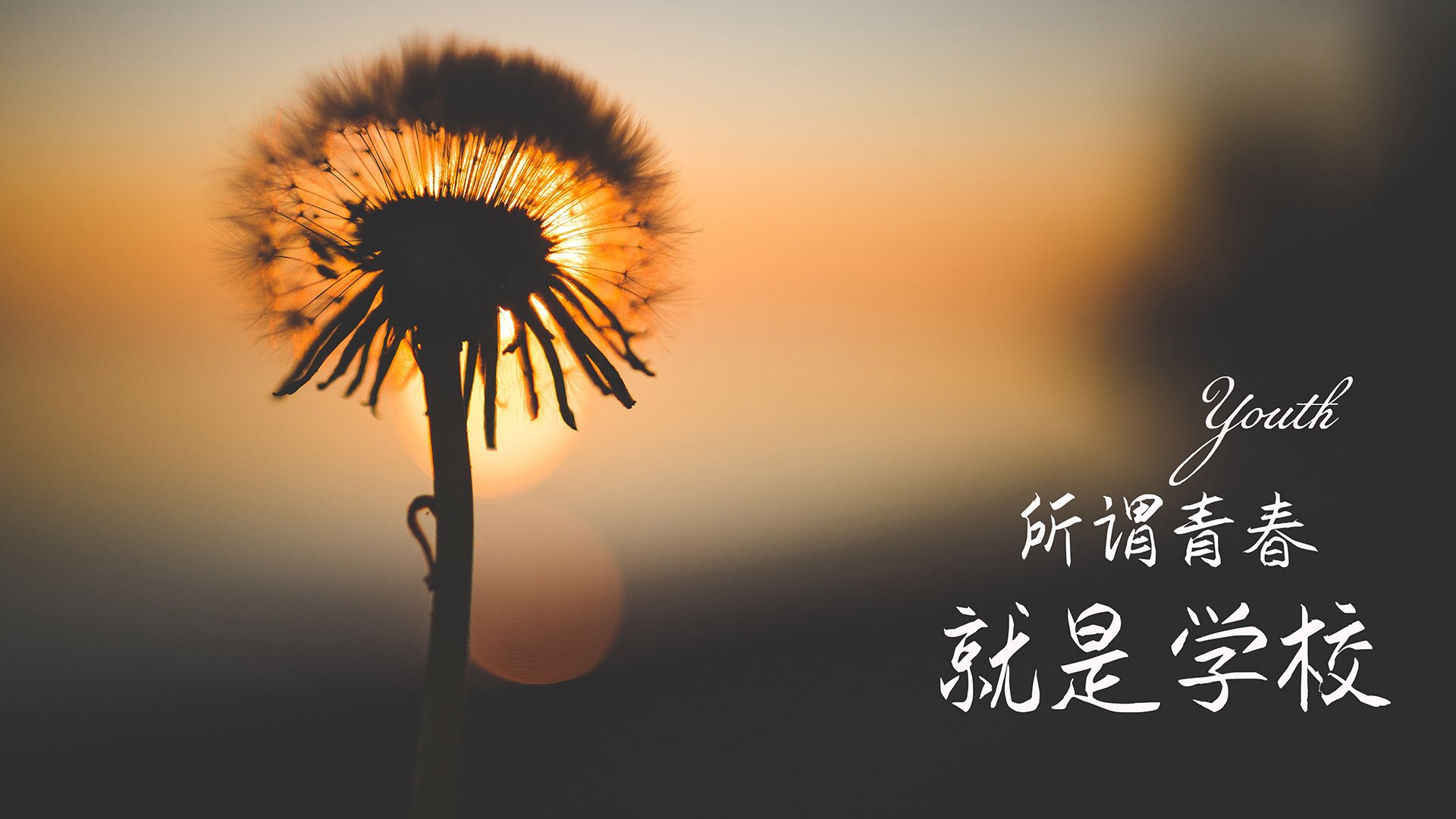 九游官网下载电脑版-青少年足球讲座火热举行，培养运动兴趣，青少年足球讲座火热举行,培养运动兴趣