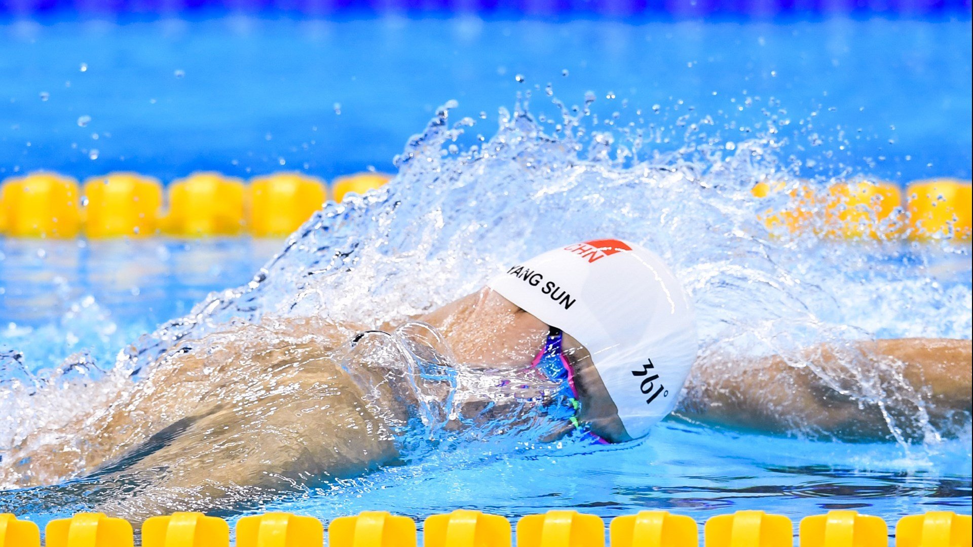 阿根廷诞生世界首批基因编辑马匹，提升马球速度，推动马术科技发展。